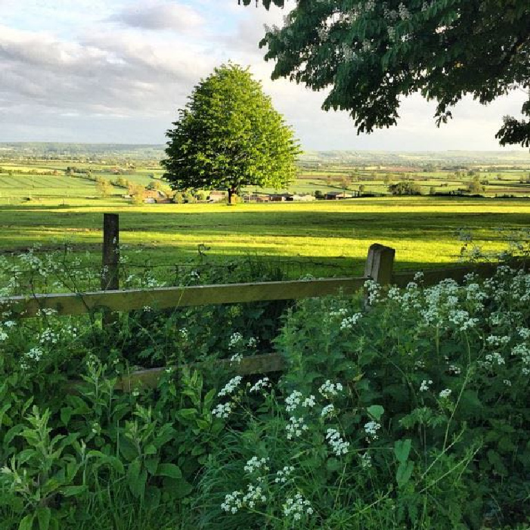 Lush green English countryside at a fairytale sort of brick cottage. #europeancountry #garden