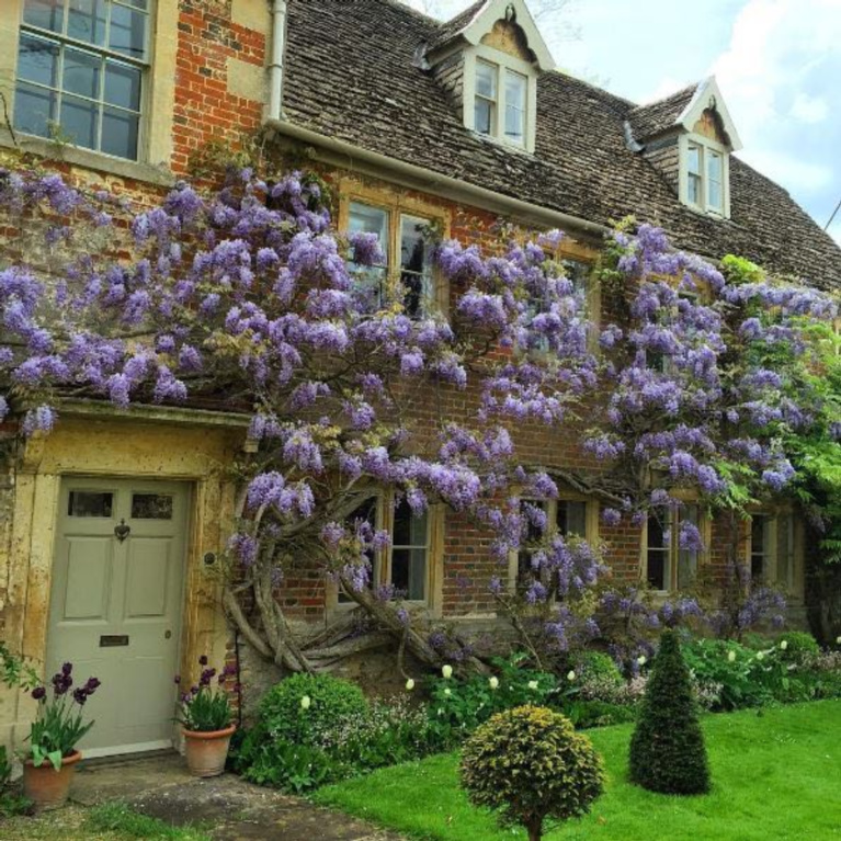 Charming English country cottage with wisteria and weathered brick for a storybook exterior! #Englishcountry #Englishcottage #wisteria #cottageexterior #stonecottage #storybook #houseexterior