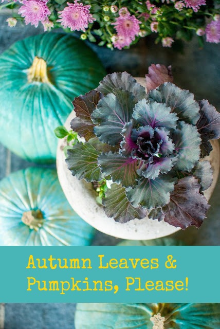 Blue Cinderella pumpkins and ornamental kale in a fall decor vignette by Gwen Moss.