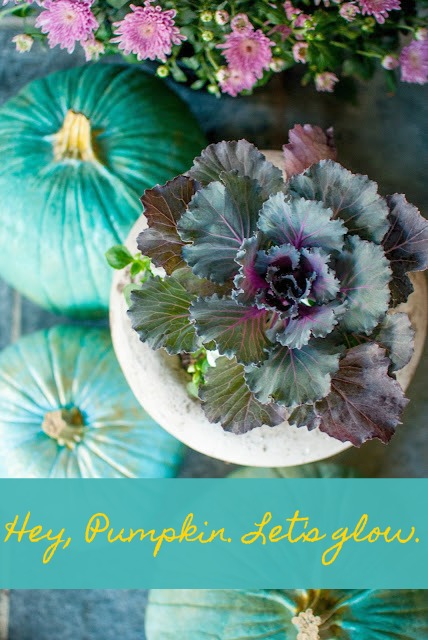 A fall quote to make you smile and inspire your autumn wonder. Photo with blue Cinderella pumpkins, kale, and mums: Gwen Moss. Hey, Pumpkin, Let's Glow. #hellolovelystudio #fall #quote #inspiration #bluepumpkins #cindereallapumpkin #gwenmoss #kale #autumnwonder #falldecor #turquoise