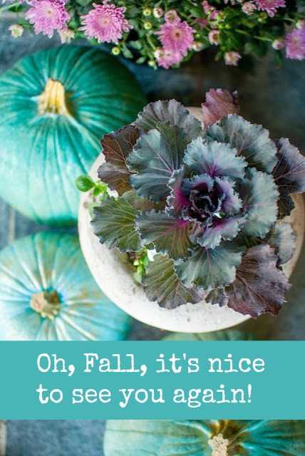 Best fall quotes to inspire. Photo: Gwen Moss. Oh, fall, it's nice to see you again. #hellolovelystudio #quote #fall #fallinspiration #kale #bluepumpkings #autumn #gwenmoss