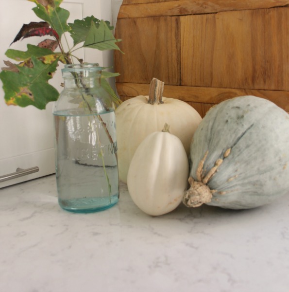 White pumpkins and gourds on my kitchen counter in fall for a pastel vignette that expresses the softer side of autumn. #falldecor #pumpkins #autumninspiration #fallkitchen