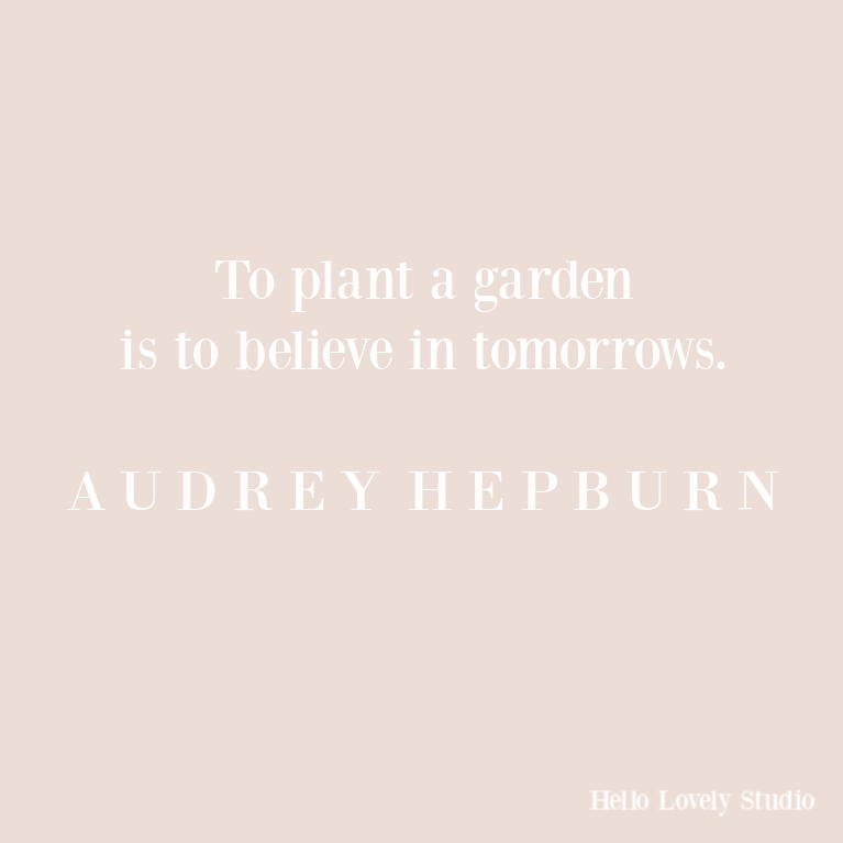 Audrey Hepburn quote about planting a garden and hope. #quotes #inspirationalquotes #gardenquote #audreyhepburn #hellolovelystudio