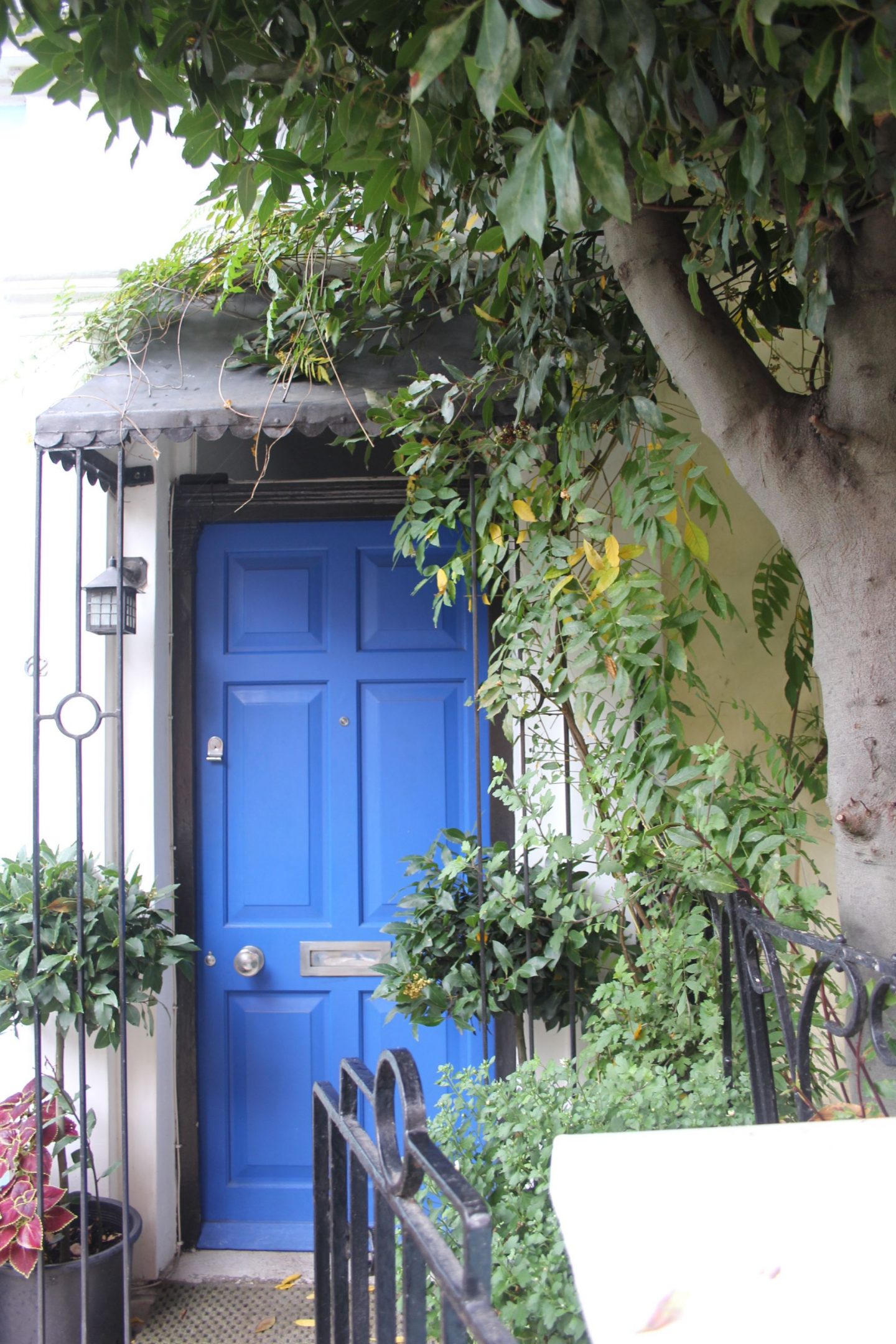 Bright periwinkle blue door at a Notting Hill home. Hello Lovely Studio. Come tour these gorgeous front doors in Notting Hill and Holland Park...certainly lovely indeed. Curb appeal and Paint Color Inspiration. Lovely London Doors & Paint Color Ideas!