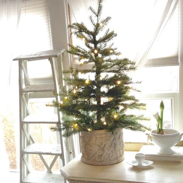 Tabletop Christmas tree with white lights in a gorgeous antique white planter. My Petite Maison. #christmasdecor #nordicfrench #whitechristmas #simplechristmas #swedishchristmas #ironstone