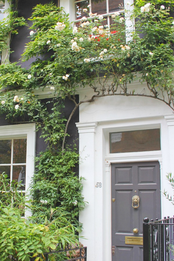 Charcoal grey front door and climbing vines on a Notting Hill home. Hello Lovely Studio. Come tour these gorgeous front doors in Notting Hill and Holland Park...certainly lovely indeed. Curb appeal and Paint Color Inspiration. Lovely London Doors & Paint Color Ideas!