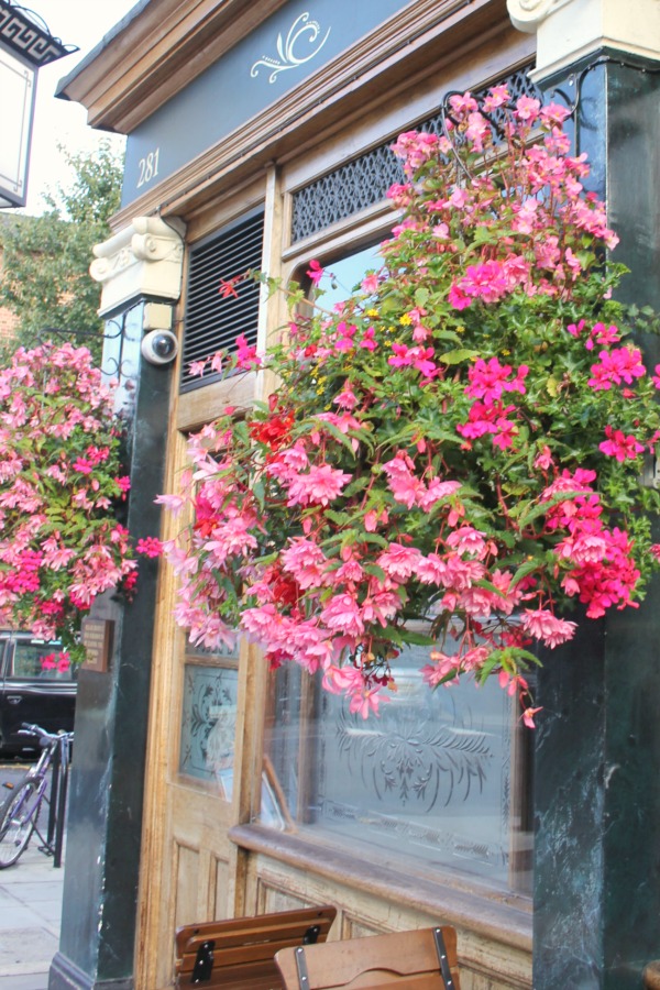 Hello Lovely Studio. Gorgeous pink flowers in baskets at a pub in Notting HIll.