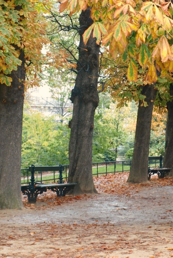 Paris in the fall with fallen leaves, a green bench, and an enchanting park captured by Hello Lovely Studio.