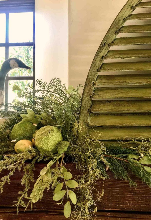 Green weathered shutter and natural greenery from California. Ciny Hattersley. Holiday Decor: Green and White Plus Twinkly Lights. Christmas decorating inspiration from lovely rooms dressed for the holidays in simple, elegant, understated style.