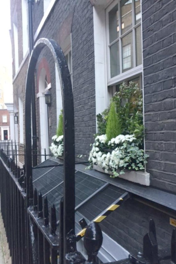Rich charcoal grey painted brick exterior of a London flat with gorgeous window boxes filled with ivy, mums, and cypress. Hello Lovely Studio.