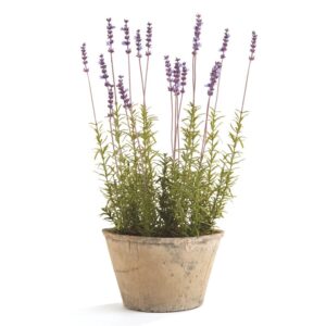 Faux Potted French Lavender