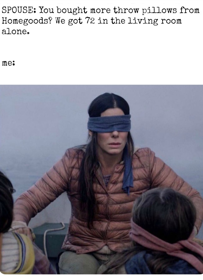 Birdbox meme by Hello Lovely Studio for Homegoods and throw pillow addicts! Funn! #funnymeme #birdbox #hellolovelystudio #homegoods #pillows