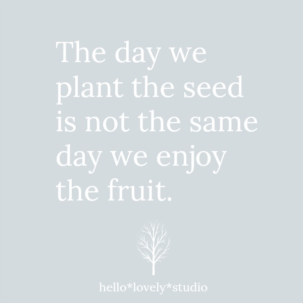 Quote about growth on Hello Lovely: The day we plant the seed is not the same day we enjoy the fruit. #inspirationalquotes #delayofgratification #personalgrowth