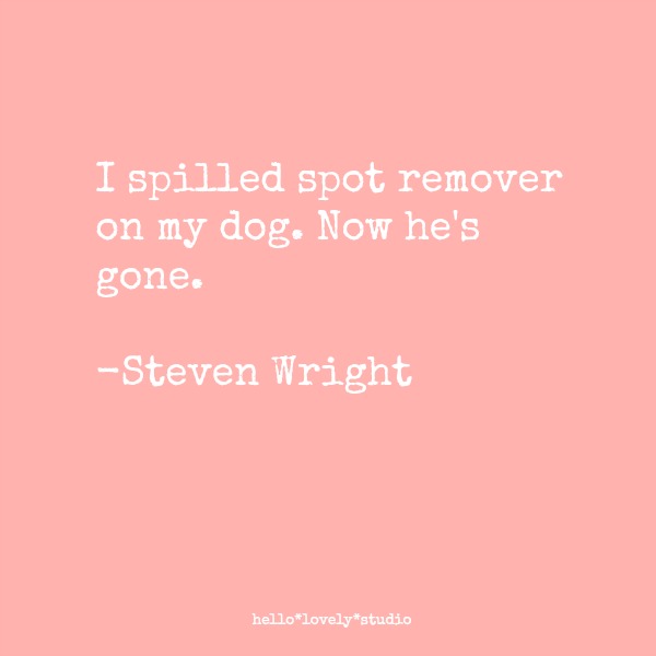 Funny dog quote from Steven Wright. #dogquotes #humor #quotes