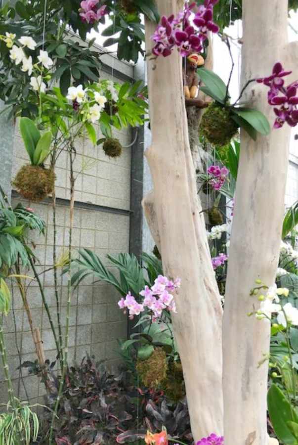 Tropical flowers and orchids in Nicholas Conservatory and Gardens in winter. Photo by Hello Lovely Studio.