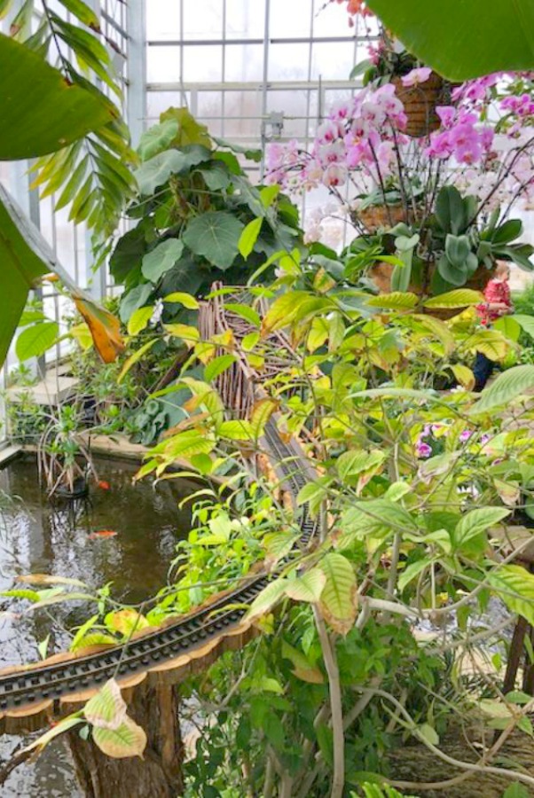 Tropical flowers and orchids in Nicholas Conservatory and Gardens in winter. Photo by Hello Lovely Studio.