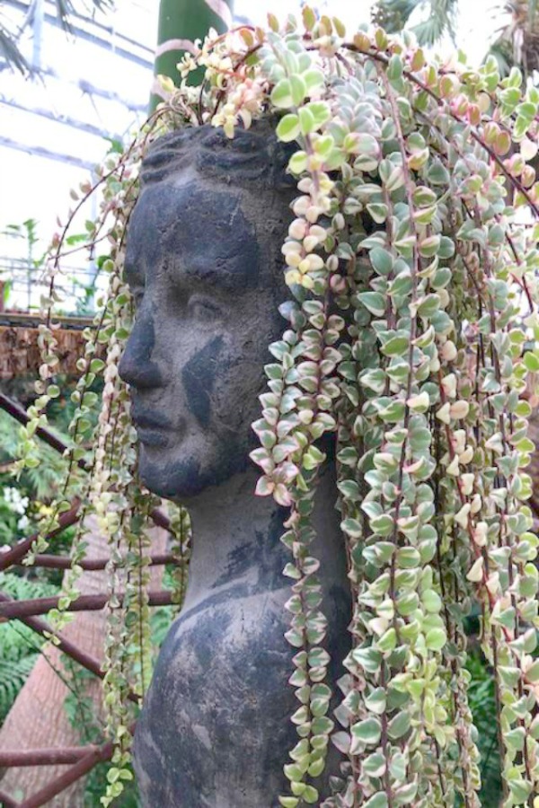 Tropical flowers and orchids in Nicholas Conservatory and Gardens in winter. Photo by Hello Lovely Studio.