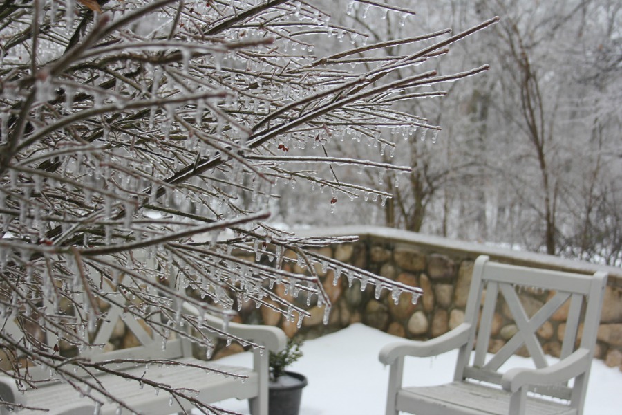 Hello Lovely Studio.Right Where I Am: Peace From Winter Trees. Personal Reflections on a February Morning in the Garden. #spirituality #hellolovelystudio #wintertrees #wisdom #faith