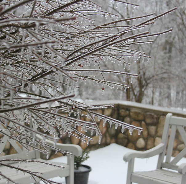 Icicles on the trees in our winter garden. Hello Lovely Studio. Come visit: 10 Smart Peaceful Ideas & Gifts to Give or Receive.