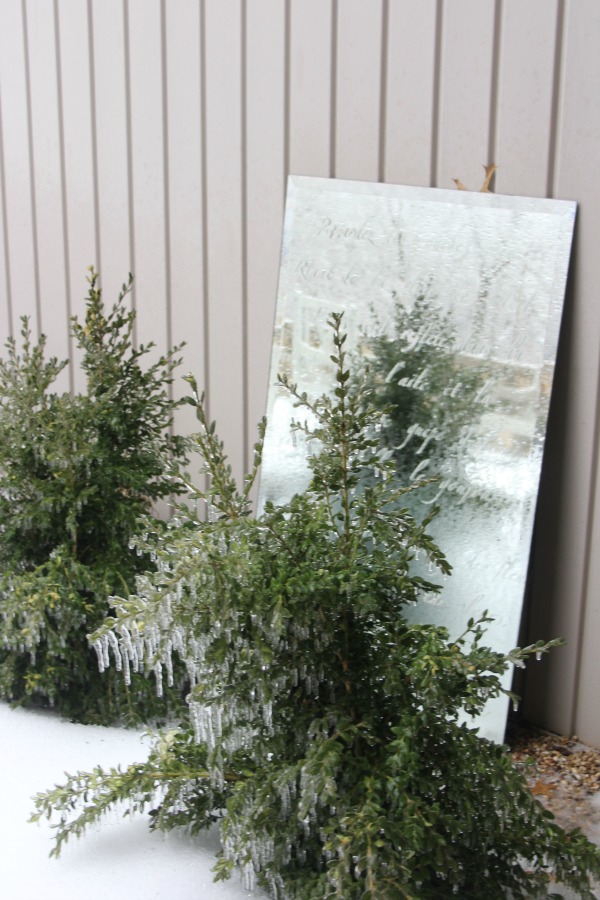 Hello Lovely Studio.Right Where I Am: Peace From Winter Trees. Personal Reflections on a February Morning in the Garden. #spirituality #hellolovelystudio #wintertrees #wisdom #faith