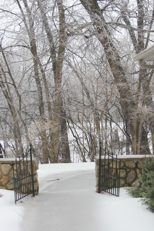 Hello Lovely Studio.Right Where I Am: Peace From Winter Trees. Personal Reflections on a February Morning in the Garden. #spirituality #hellolovelystudio #wintertrees #wisdom #faith