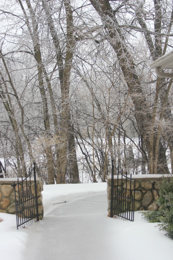 Hello Lovely Studio.Right Where I Am: Peace From Winter Trees. Personal Reflections on a February Morning in the Garden. #spirituality #hellolovelystudio #wintertrees #wisdom #faith 