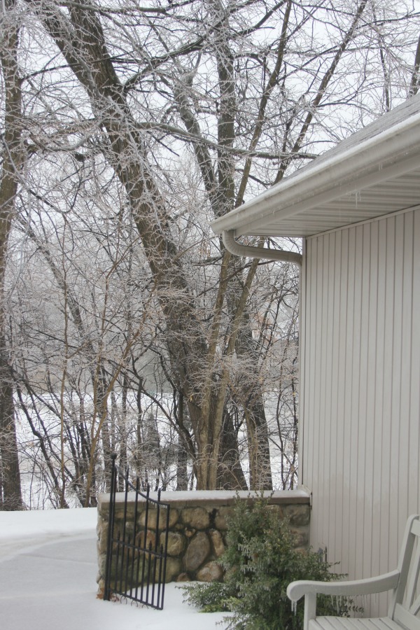 Hello Lovely Studio.Right Where I Am: Peace From Winter Trees. Personal Reflections on a February Morning in the Garden. #spirituality #hellolovelystudio #wintertrees #wisdom #faith