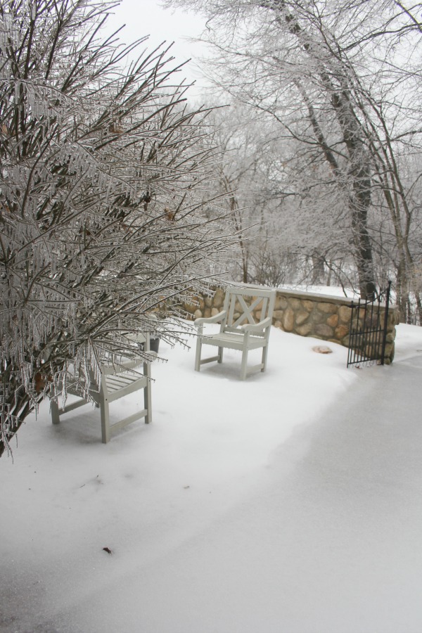 Hello Lovely Studio.Right Where I Am: Peace From Winter Trees. Personal Reflections on a February Morning in the Garden. #spirituality #hellolovelystudio #wintertrees #wisdom #faith