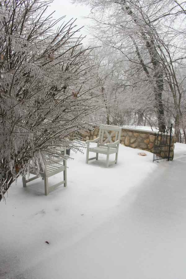 Hello Lovely Studio.Right Where I Am: Peace From Winter Trees. Personal Reflections on a February Morning in the Garden. #spirituality #hellolovelystudio #wintertrees #wisdom #faith 