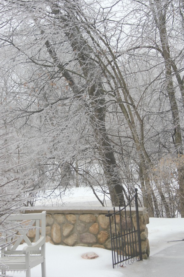 Hello Lovely Studio.Right Where I Am: Peace From Winter Trees. Personal Reflections on a February Morning in the Garden. #spirituality #hellolovelystudio #wintertrees #wisdom #faith
