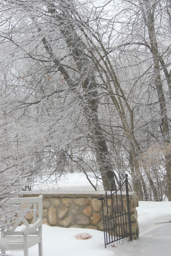 Hello Lovely Studio.Right Where I Am: Peace From Winter Trees. Personal Reflections on a February Morning in the Garden. #spirituality #hellolovelystudio #wintertrees #wisdom #faith 