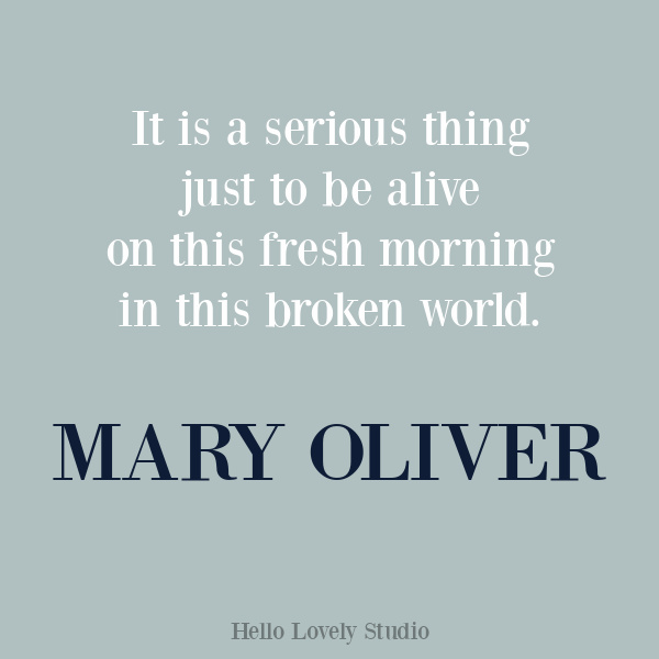 Mary Oliver quote and poetry on Hello Lovely Studio. #maryoliver #encouragementquote #inspirationalquote