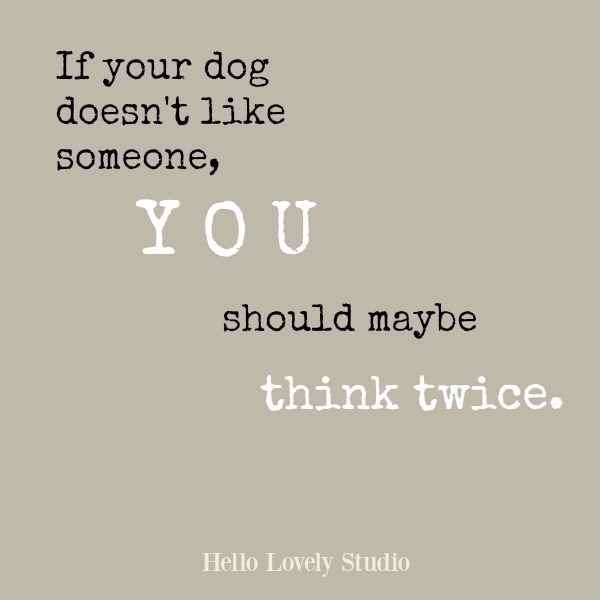 Humor quote on Hello Lovely Studio: If your dog doesn't like someone, you should maybe think twice.