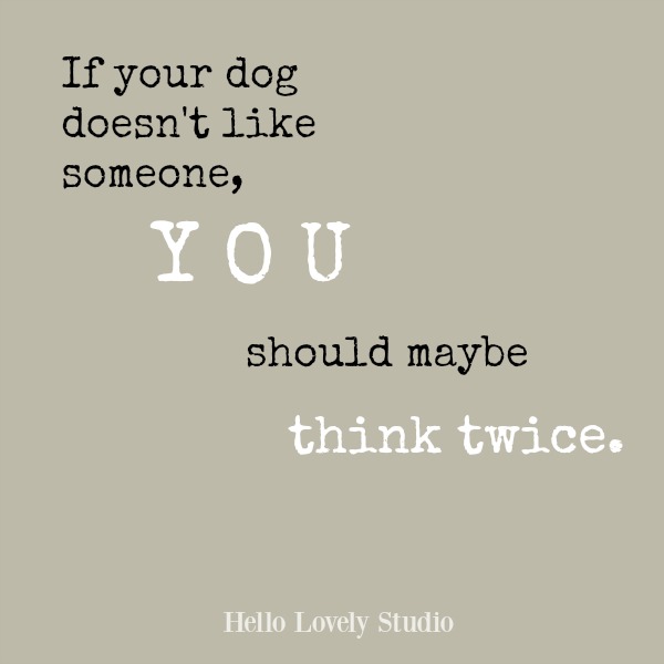Inspirational quote on Hello Lovely Studio.