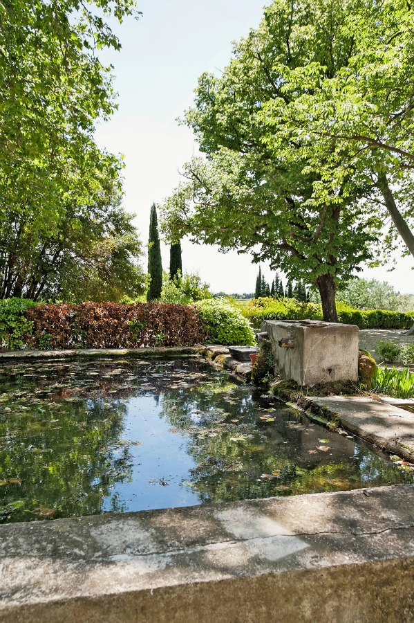 Cypress trees, a vineyard, and a pool. Provence dreams are made of these! Come tour French Farmhouse Design: Provence Villa Photos in a story with rustic decor, Country French charm, and South of France beauty! #frenchfarmhouse #interiordesign #housetour #frenchcountry #provence