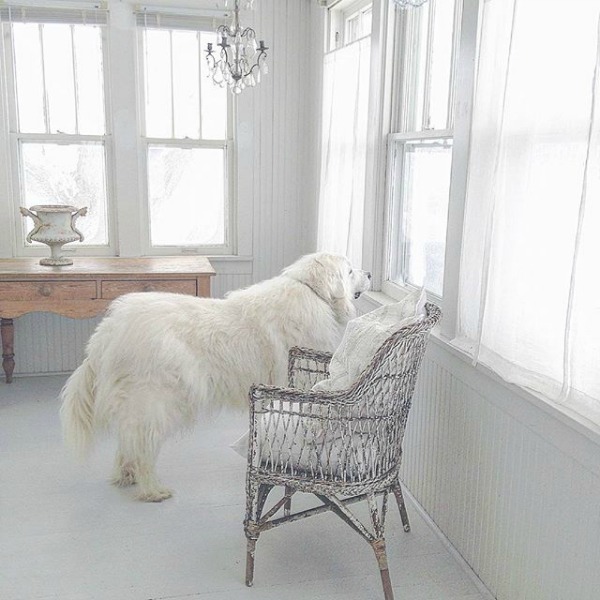 White painted floor and serene design by My Petite Maison. See more rustic elegant French farmhouse design ideas and decor inspiration. #frenchfarmhouse #interiordesign #frenchcountry