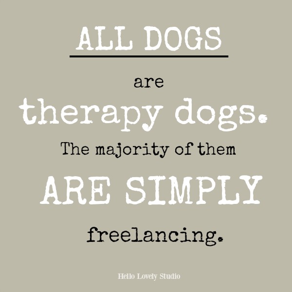 Inspirational quote about dogs on Hello Lovely Studio: All dogs are therapy dogs...the majority of them are simply freelancing.