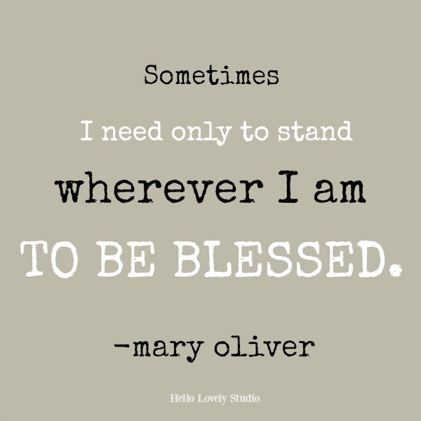 Inspirativní citát Mary Oliver na Hello Lovely Studio