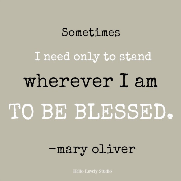 Mary Oliver inspirational quote: Sometimes I need only to stand wherever I am to be blessed. #inspirationalquote #maryoliver #hellolovelystudio