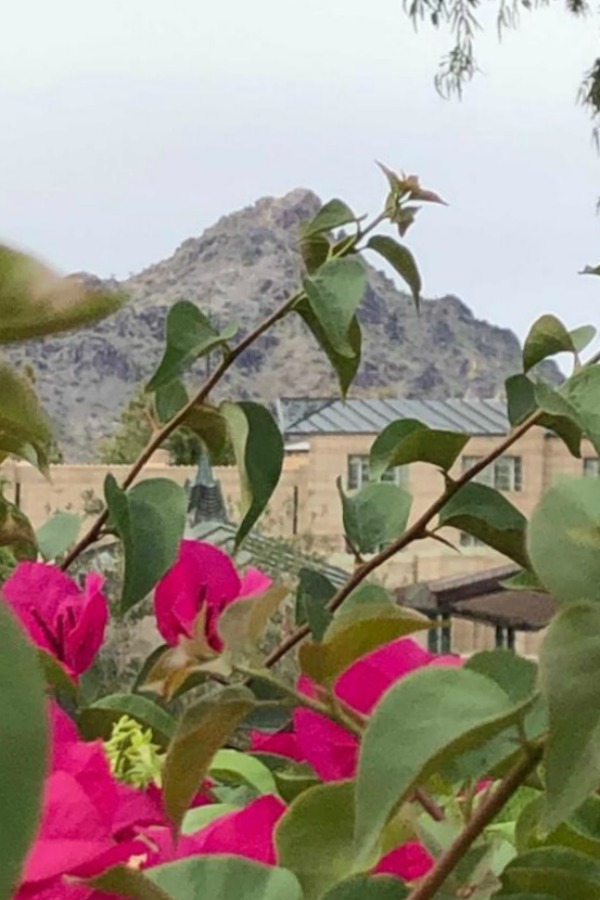 Biltmore with mountain and pink flowers - Hello Lovely Studio.