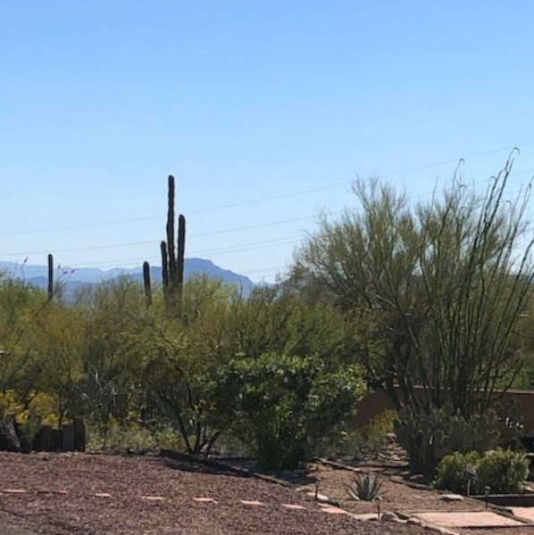 Tuscon, Arizona landscape - Hello Lovely Studio.