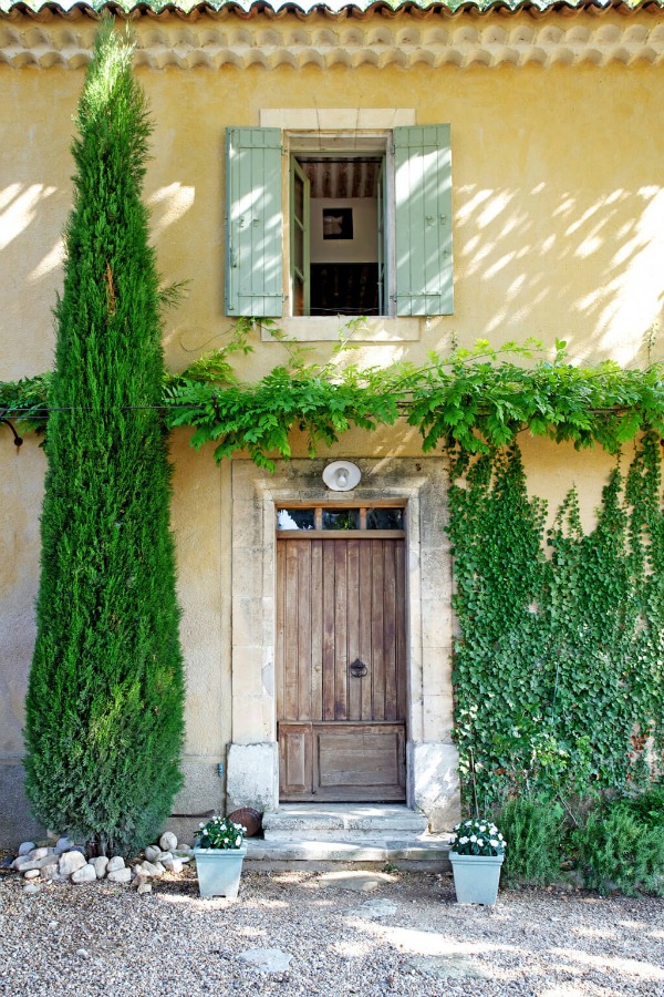 Rustic French green shutters on a glowing yellow stucco facade of Provence villa with climbing vines.