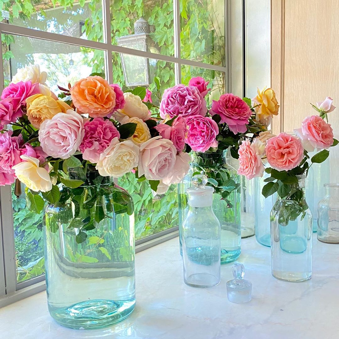 Gorgeous David Austin roses in vintage glass bottle vases at Patina Farm - Brooke Giannetti. #davidaustin #roses #farmhouseflowers #patinafarm #velvetandlinen