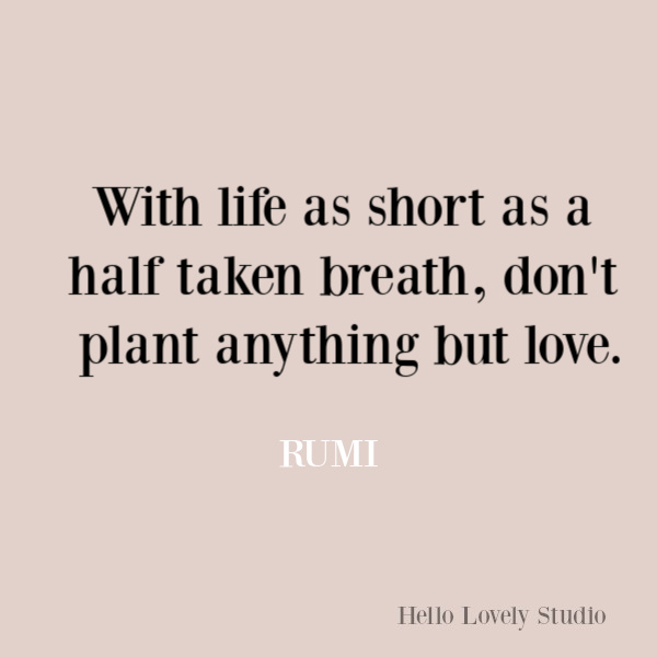 Rumi quote about planting love. #lovequote #rumi #quotes #inspirationalquote #lovequotes