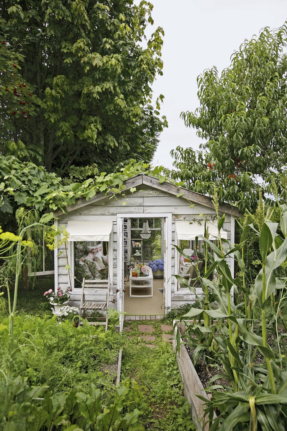 Charming vintage she shed greenhouse exterior has a glass roof, original wood, and a breathtaking shabby chic interior! #sheshed #sheds #greenhouse #outdooroasis #gardenshed #pottingshed