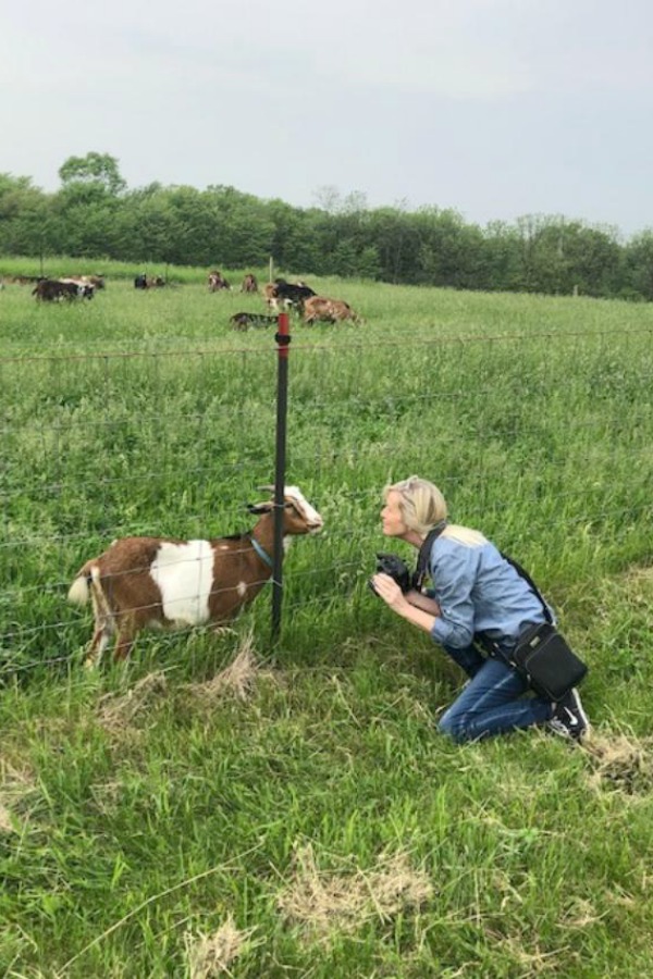 Beautiful inspiration from Gretta's Goats - Hello Lovely Studio.