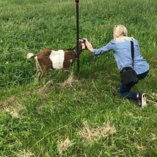 Beautiful inspiration from Gretta's Goats - Hello Lovely Studio.