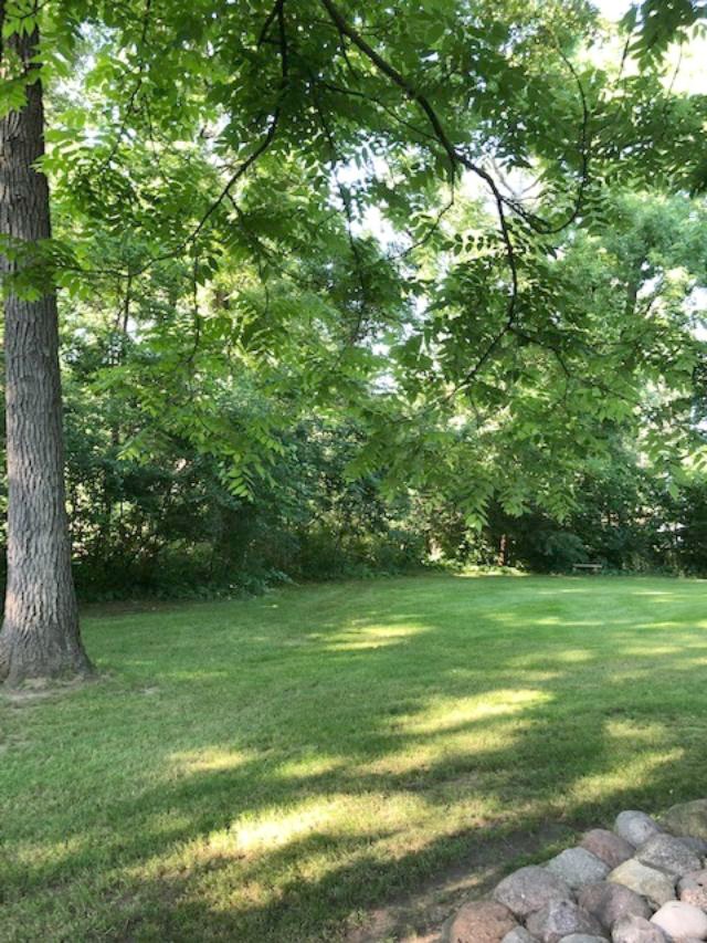 My woodsy backyard in July - Hello Lovely Studio. 7 Little Life Hacks for Coping With Chronic Illness...in case you need a bit of encouragement.