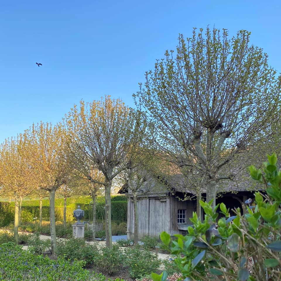 Timeless design in the Belgian home and gardens of Greet Lefèvre. #belgianstyle #europeancountry