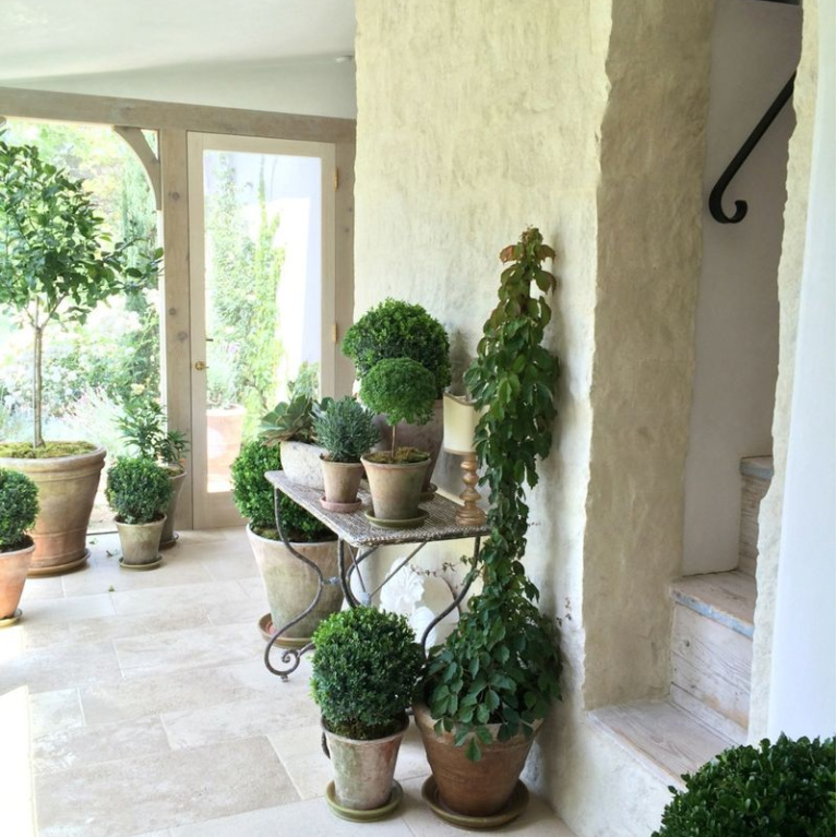 Sunny room lined in limestone at Patina Farm filled with potted plants - design by Brooke Giannetti. #patinafarm #gardendecor #europeancountry #frenchfarmhouse #agedpots
